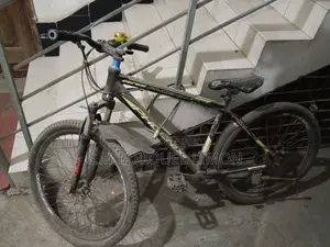 Phoenix Bicycle for Sale