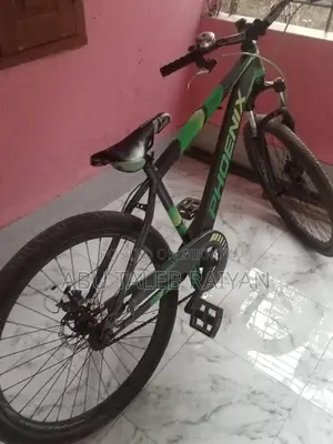 Phoenix Bicycle for Sale