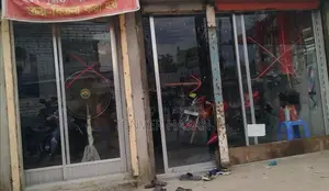 Glass Door for Sale