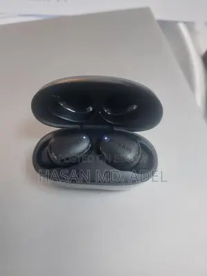 Blueant Air Buds