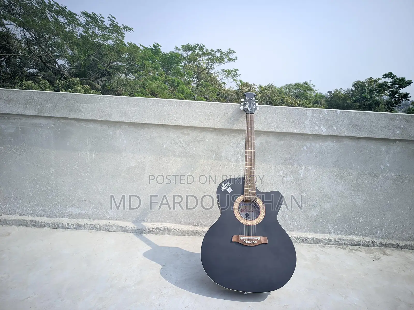 অড সিগনেচার গিটার