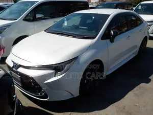 Toyota Corolla WXB Pearl Color 2021
