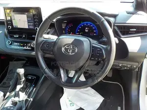 Toyota Corolla WXB Pearl Color 2021