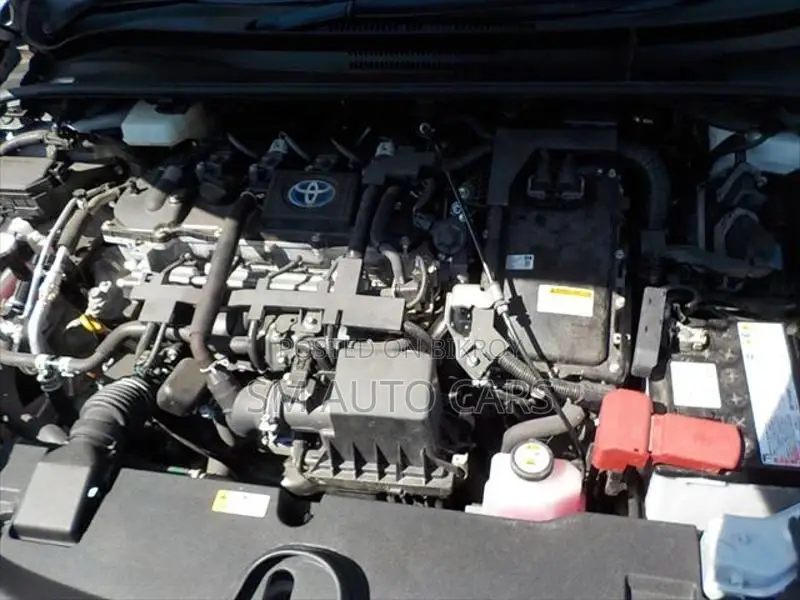 Toyota Corolla WXB Pearl Color 2021