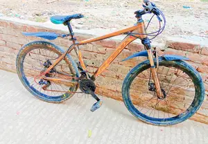 Bicycle for Sale