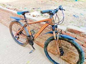 Bicycle for Sale
