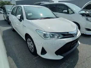 Toyota Axio EX 2020