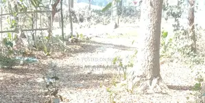 Land suitable for building a house