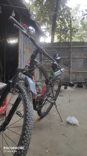 Prince Bicycle for Sale
