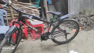 Prince Bicycle for Sale