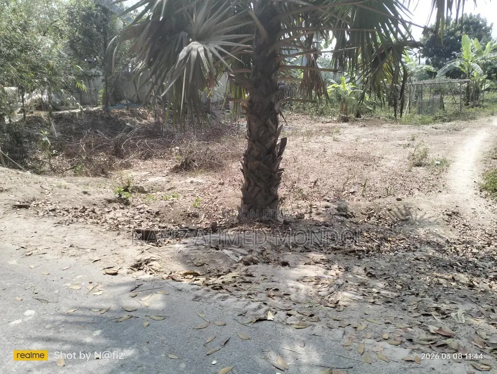 Land for Sale in Plots Along the Paved Road