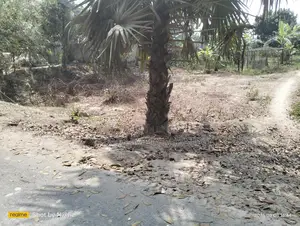 Land for Sale in Plots Along the Paved Road