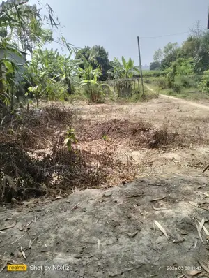 Land for Sale in Plots Along the Paved Road