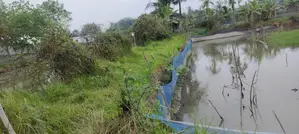 9 Katha Land for Sale in Putimari Mouza, East of Taposh Shah's Mill