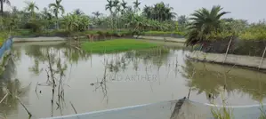 9 Katha Land for Sale in Putimari Mouza, East of Taposh Shah's Mill