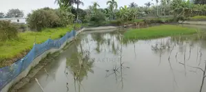 9 Katha Land for Sale in Putimari Mouza, East of Taposh Shah's Mill