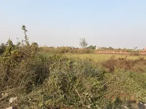 Commercial Land For Rent - Godown/ Warehouse: Center