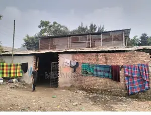 Want to sell this land