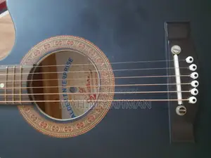 সিগনেচার অ্যাকোস্টিক গিটার