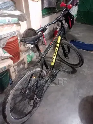 phoenix Cycle sale