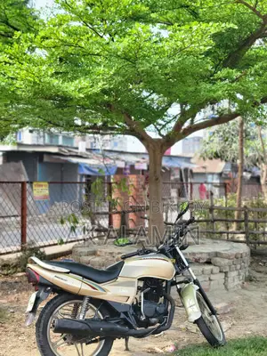 Runner Freedom, ২০১৬
