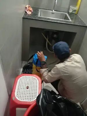 Professional Pest Control Services