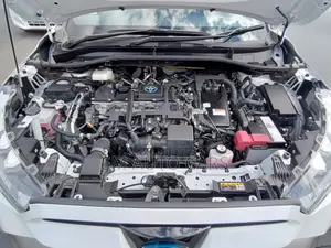 Toyota Corolla Cross Z Pearl Full Option 2022