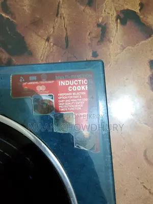 Original Miyako Induction Cooker