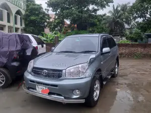 Toyota RAV4 gray 2004