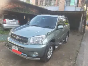 Toyota RAV4 gray 2004
