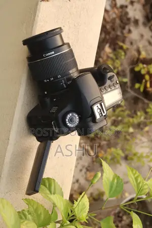 Cannon 60D Fresh