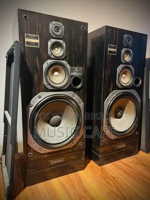 🔥 PIONEER MONSTER VINTAGE SPEAKER – AUDIOPHILE COLLECTION