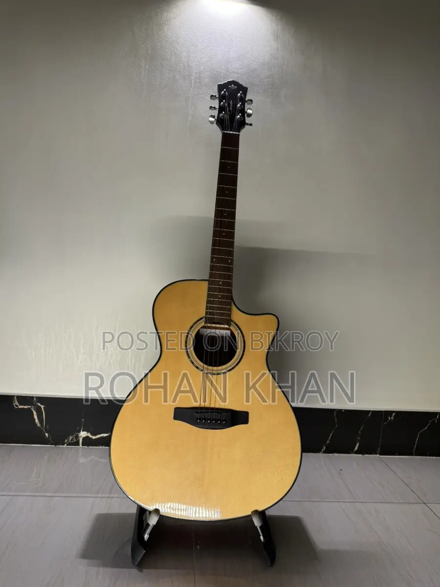 Guson গিটার বিক্রির জন্য