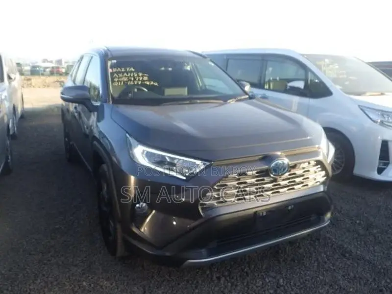 Toyota RAV4 Hybrid G Pkg Grey 2021
