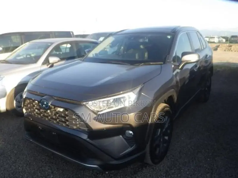 Toyota RAV4 Hybrid G Pkg Grey 2021