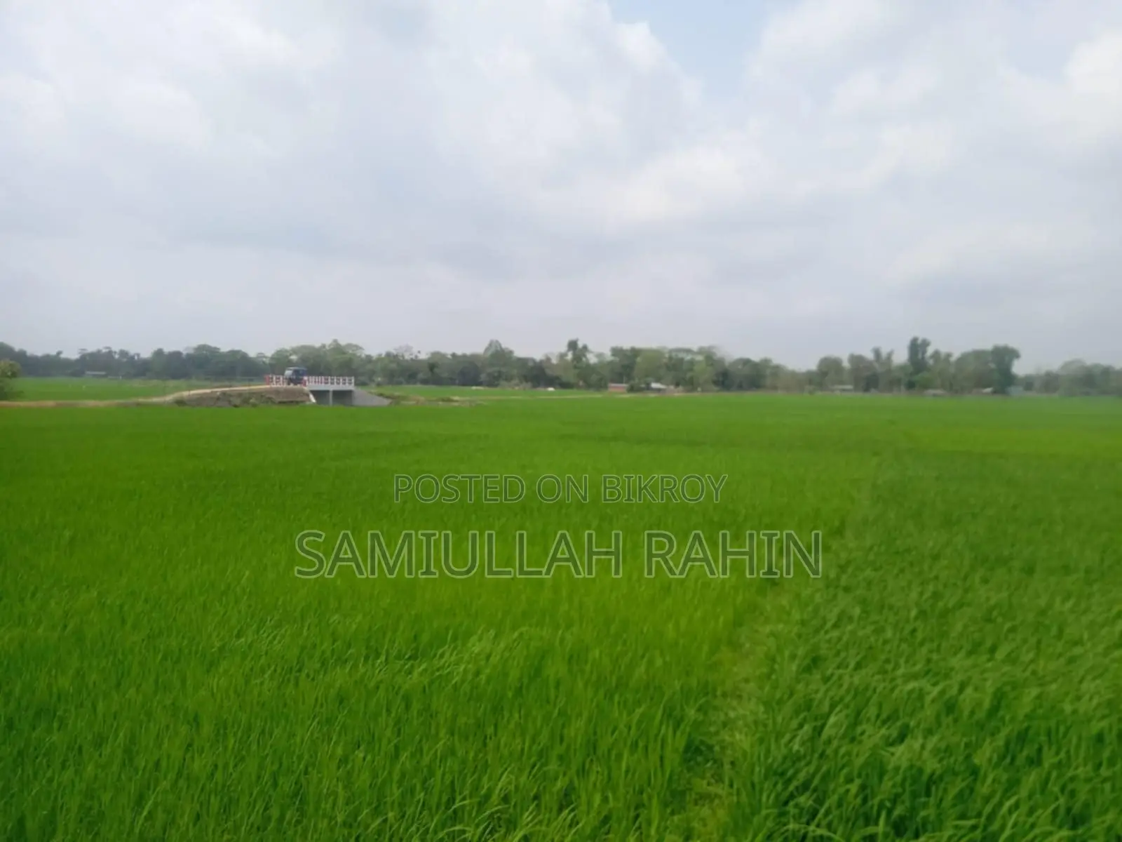 Land for Sale