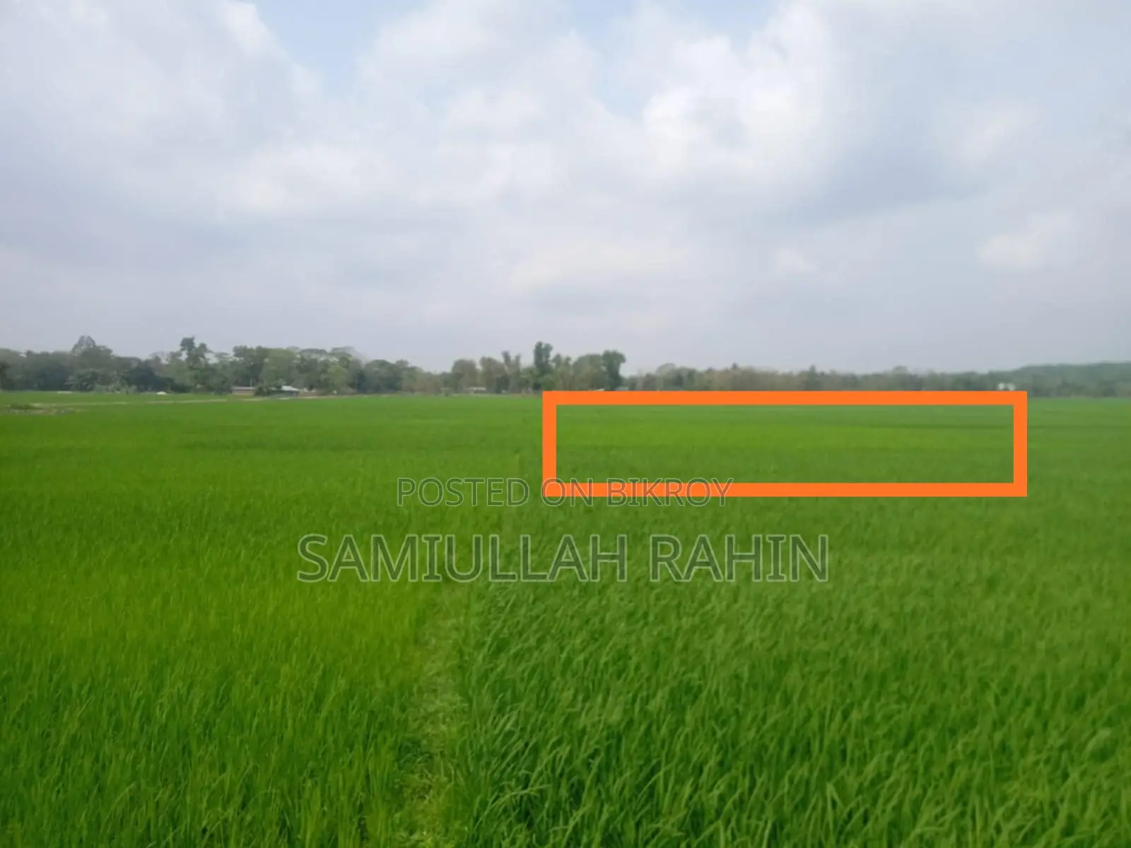 Land for Sale