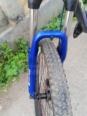 Bicycle for Sale