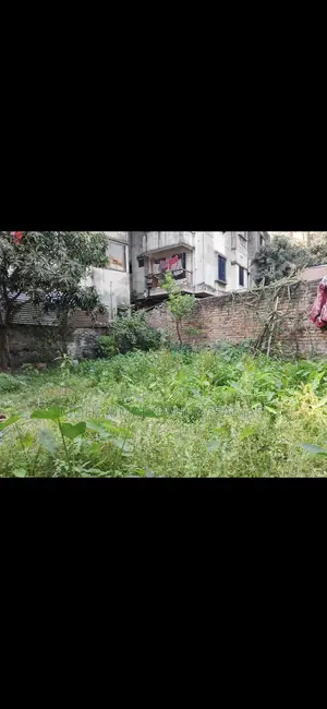 রেডি ল্যান্ড সেল