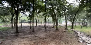 12 Bigha Land For Rent at Mawna, Gazipur