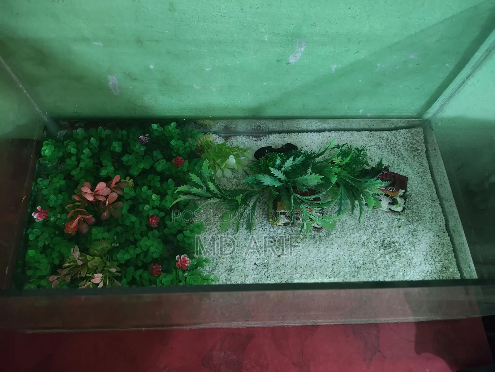 Aquarium/একিউরিয়াম