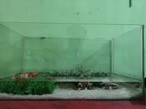 Aquarium/একিউরিয়াম