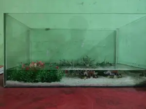 Aquarium/একিউরিয়াম