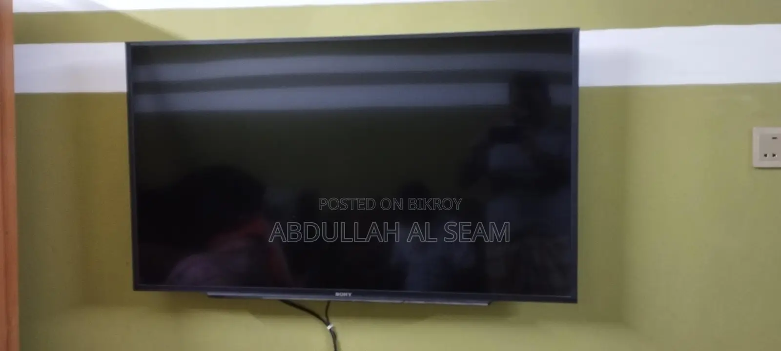 Sony Bravia TV