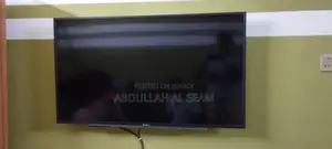 Sony Bravia TV