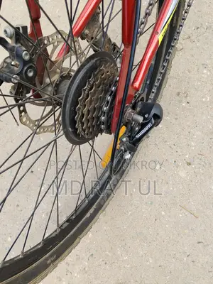 Duranta Bicycle For Sale