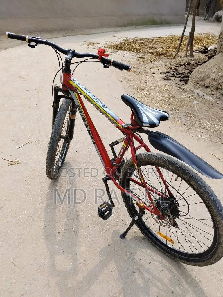 Duranta Bicycle For Sale