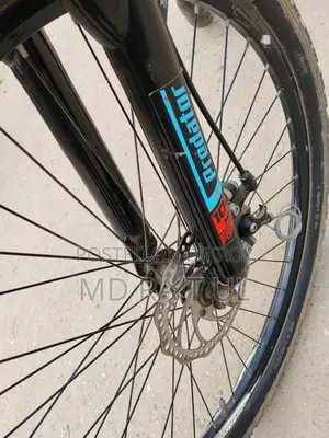 Duranta Bicycle For Sale