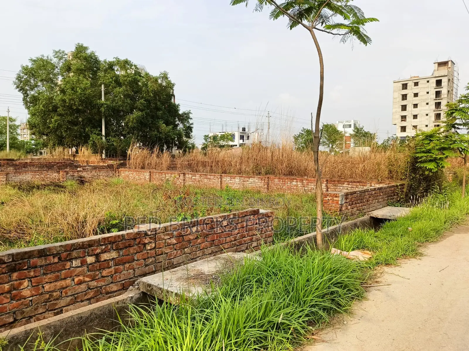 Prime 3-Katha Land in M Block – Bashundhara Baridhara