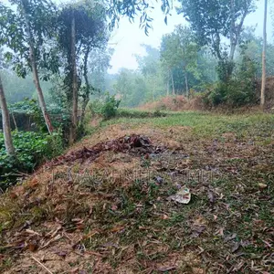14 Decimal Land for Sale